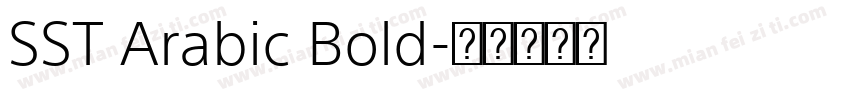 SST Arabic Bold字体转换